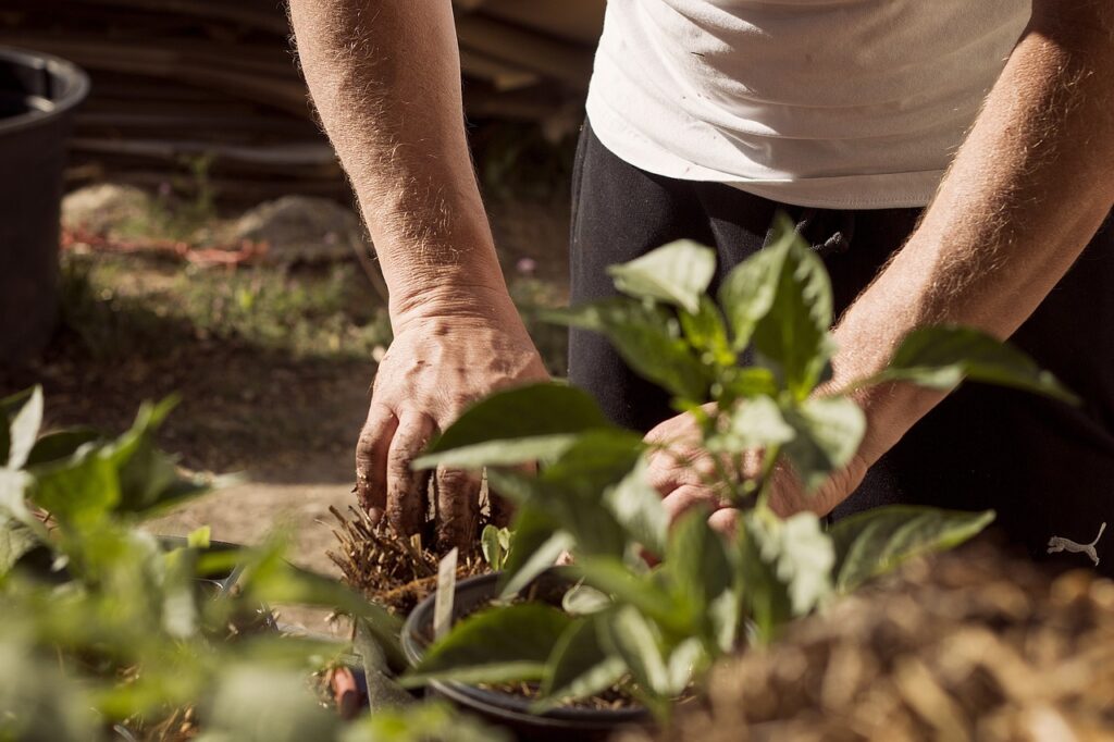 garden, working hands, dirt