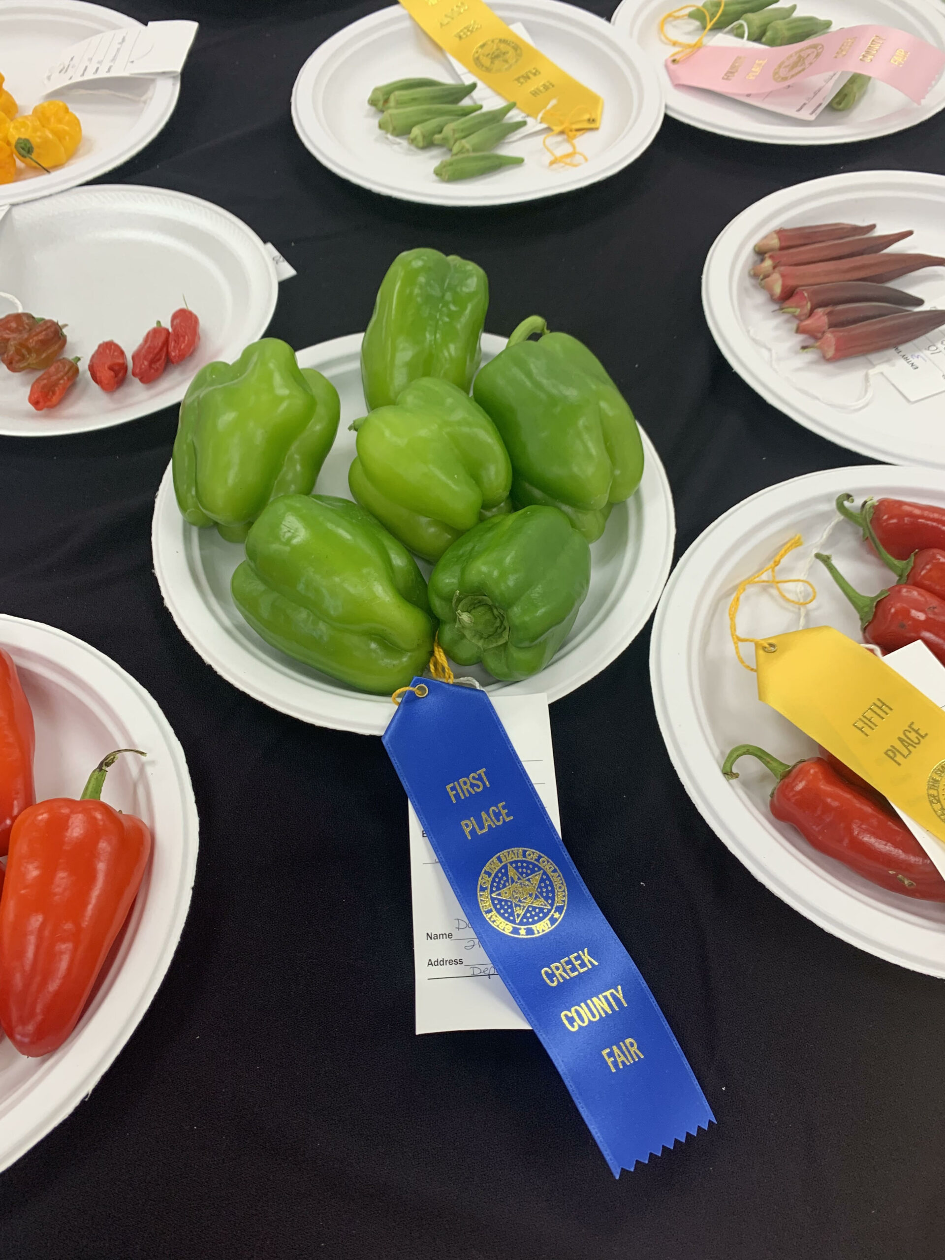 Pepper Ribbons Creek County Master Gardner: Entering the Fair – Sapulpa Times