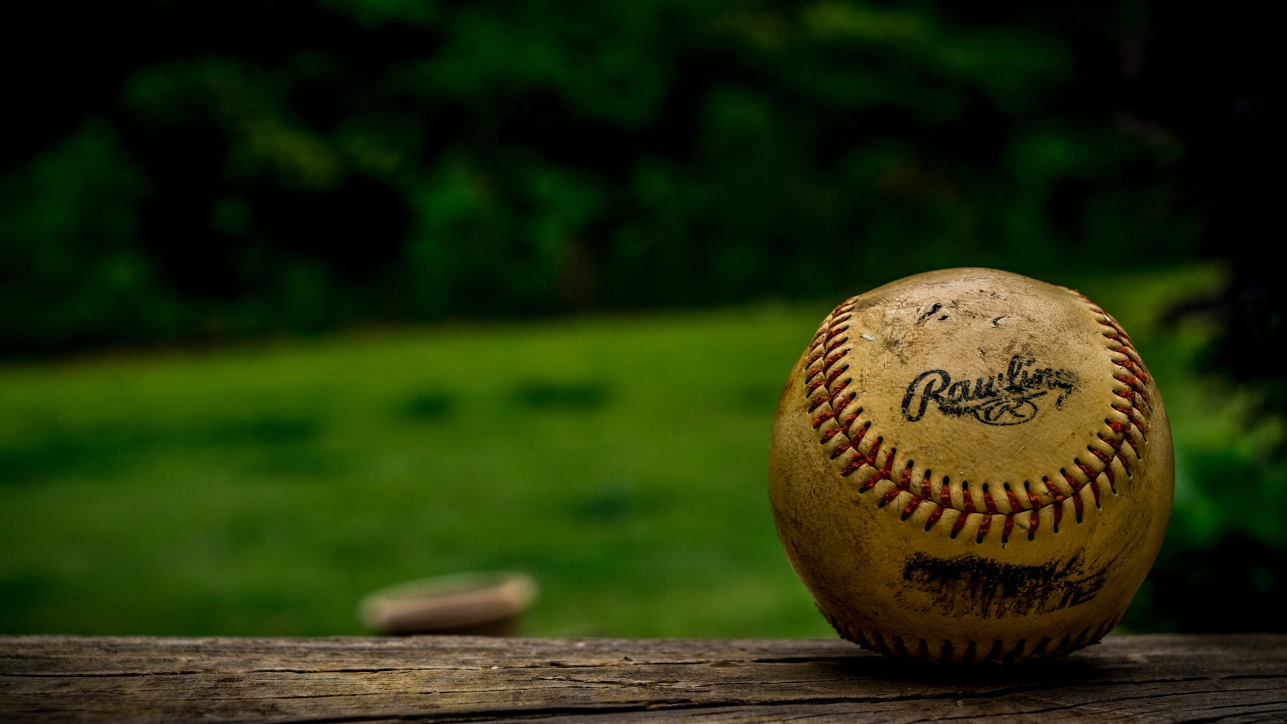 macro view of baseball