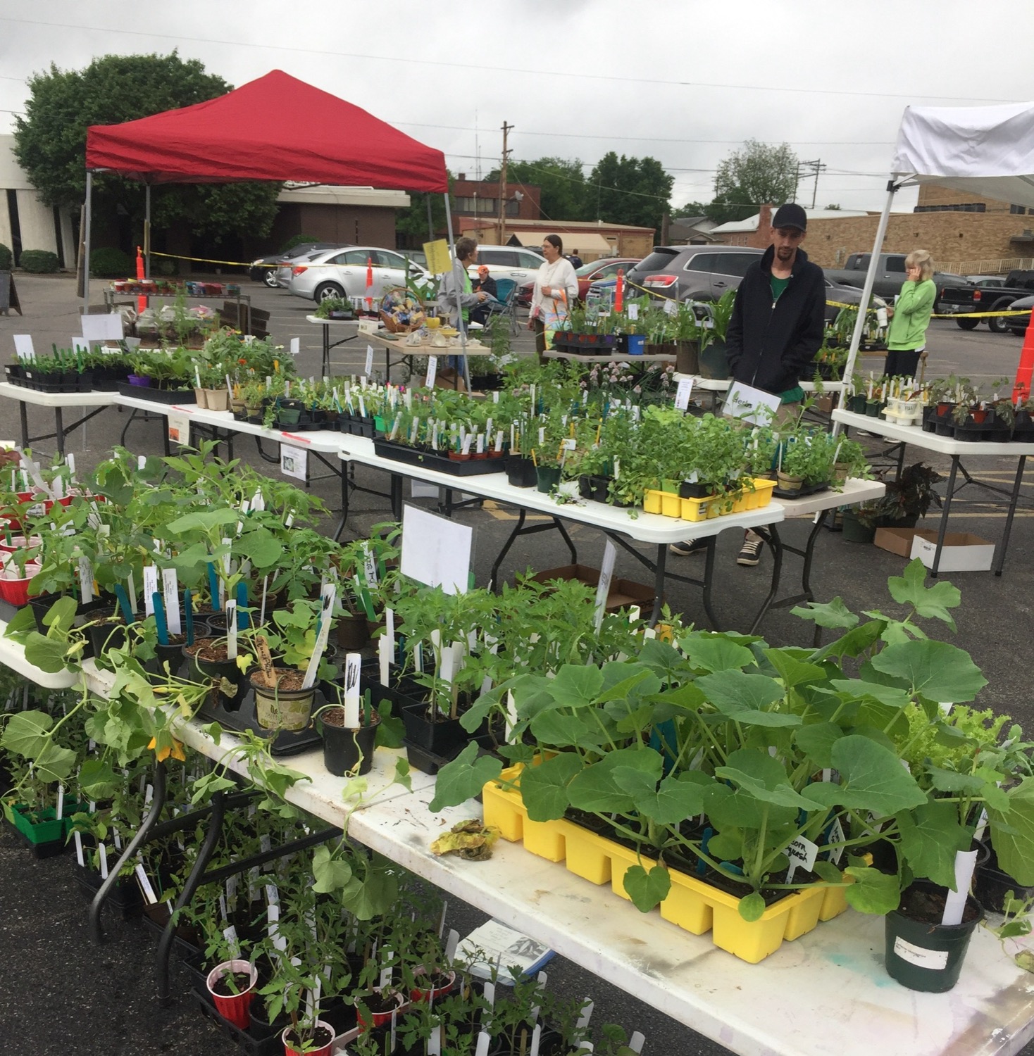 Creek County Master Gardner Plant Sale